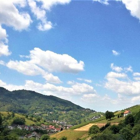 Ferienwohnung Wintereck Bühlertal Eksteriør bilde