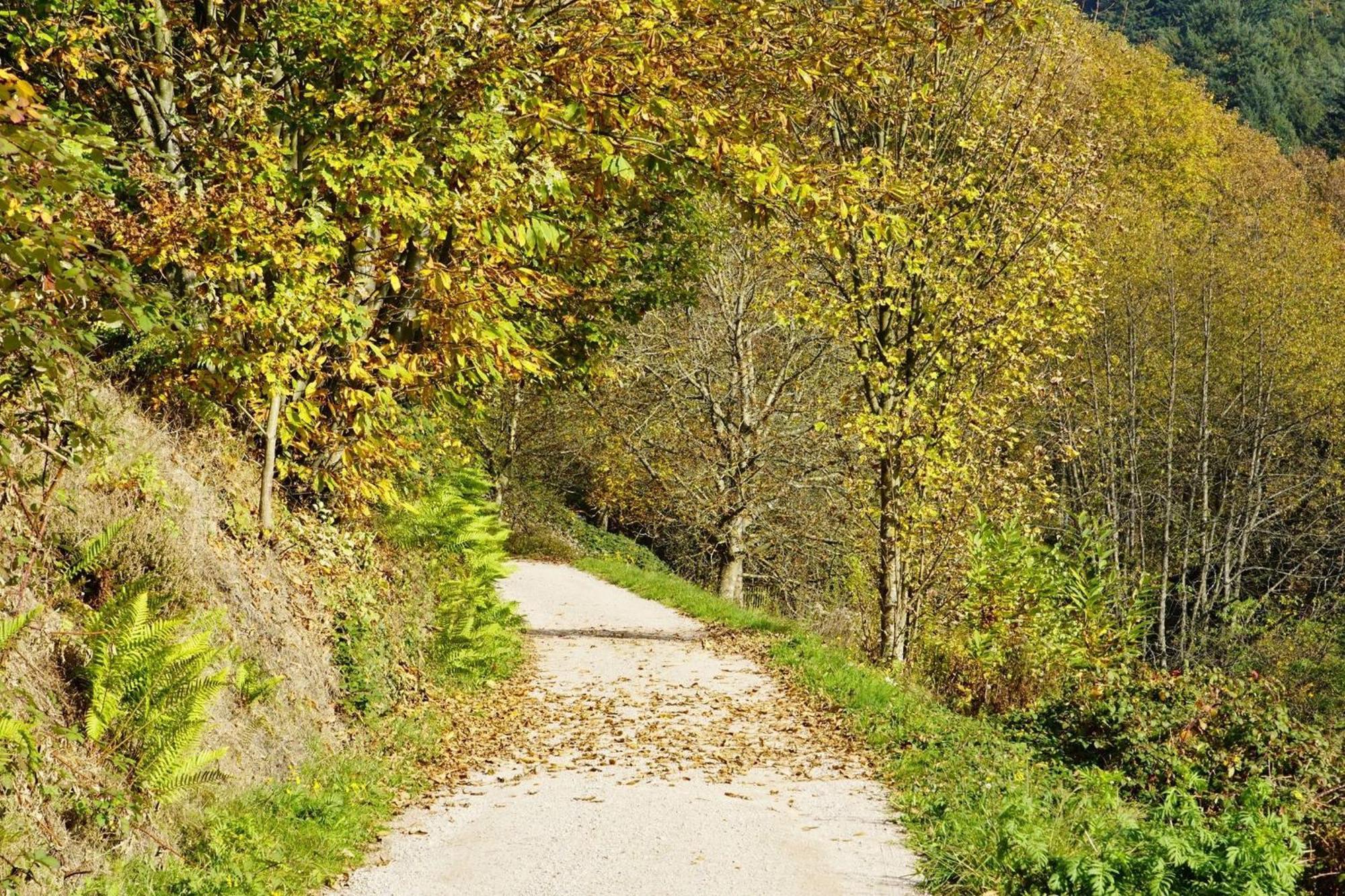 Ferienwohnung Wintereck Bühlertal Eksteriør bilde