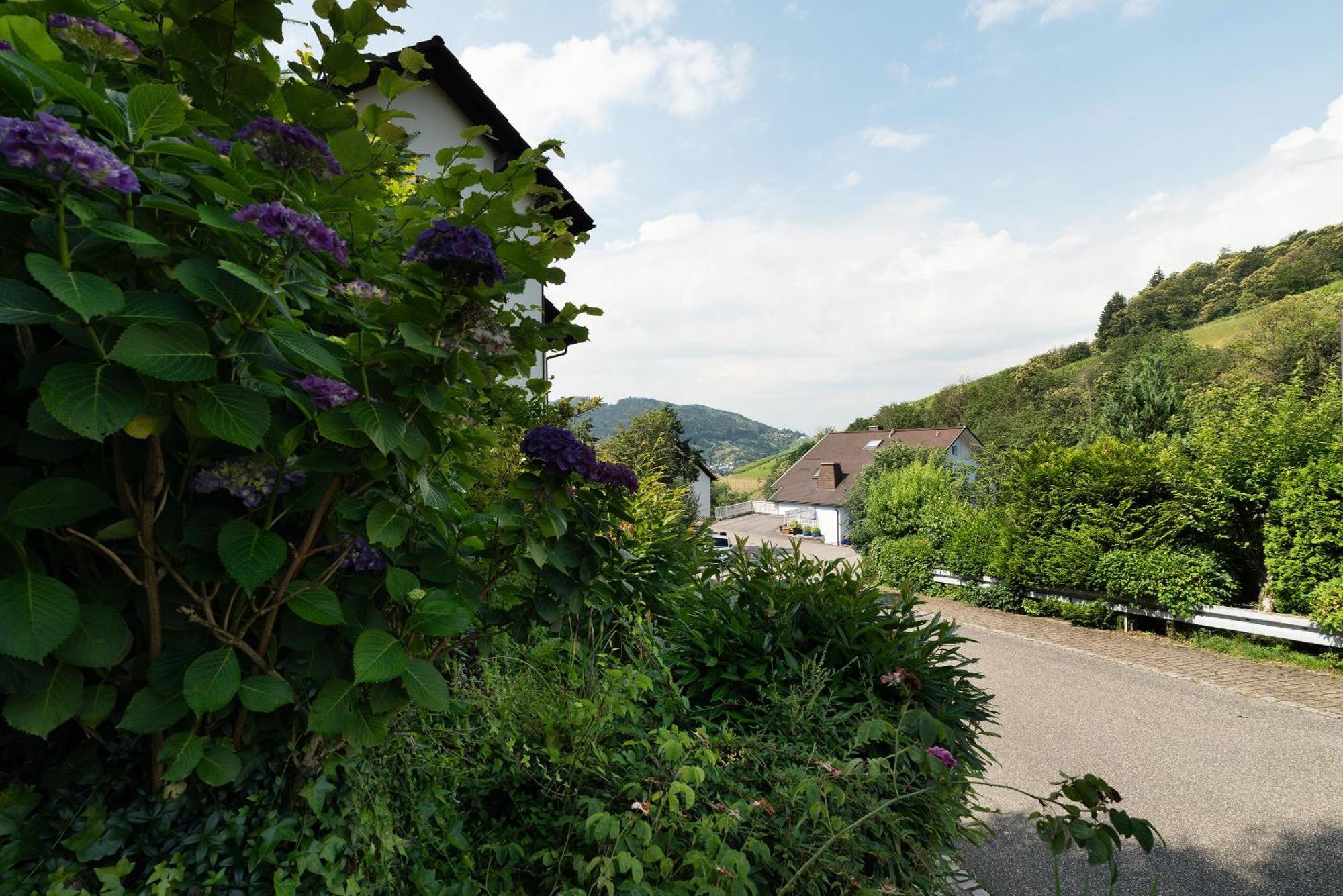 Ferienwohnung Wintereck Bühlertal Eksteriør bilde